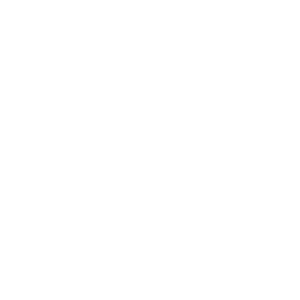 Excavation Icon