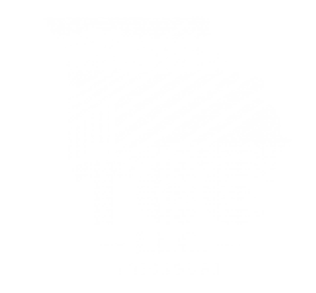 TCC, LLC Logo